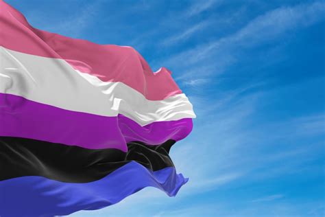 omni sexuality flag|Pride Flag Guide: Omnisexual 